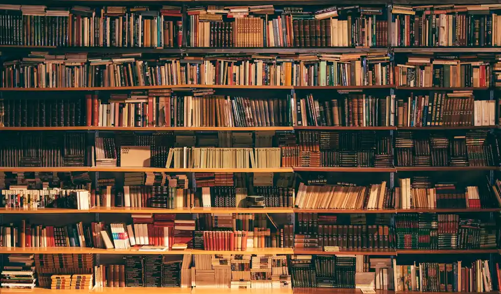 IELTS Writing Coach library of past student essays